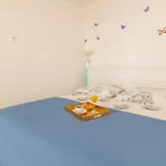 Story * دوبروفينك
